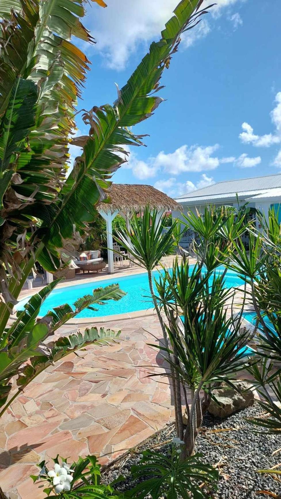 Tiko Lodge Sxm Quarter of Orleans Екстериор снимка